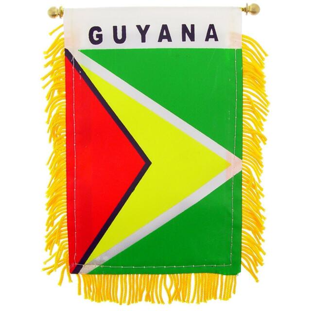 Guyana Flag Mini Banner